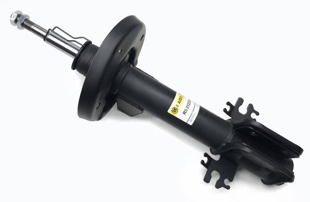 RS312294 Raiso Стойка передняя