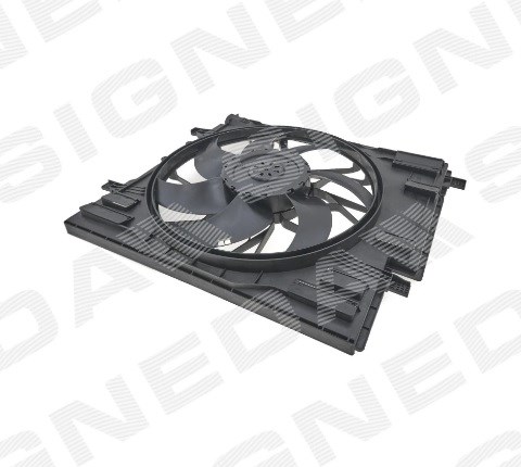  RDVV600042 Signeda