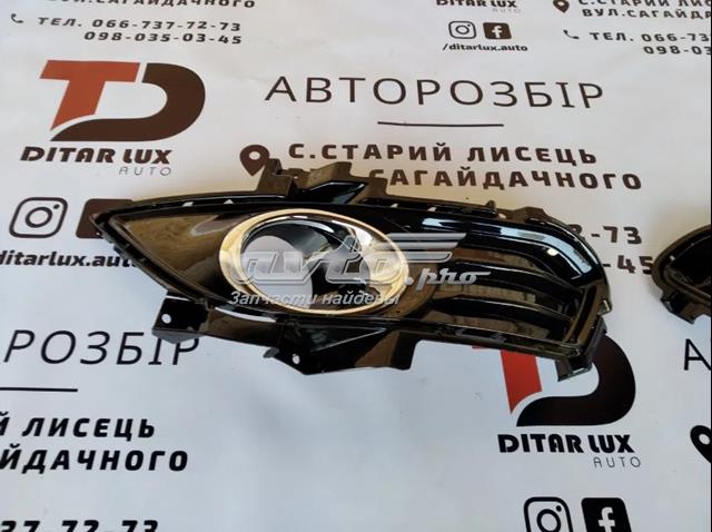 Купить PFD99157KAR Signeda Противотуманная фара - вставка левая