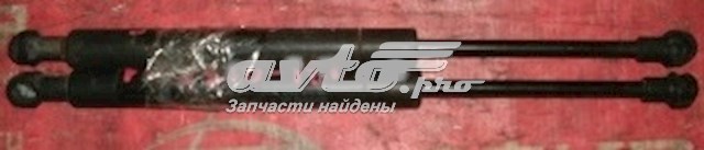 Газовый упор багажника Nissan/Infiniti 844309Y000