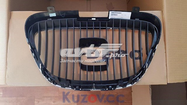 Grelha do radiador FP6205990 FPS