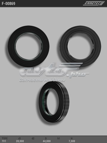  F00869 Emmetec
