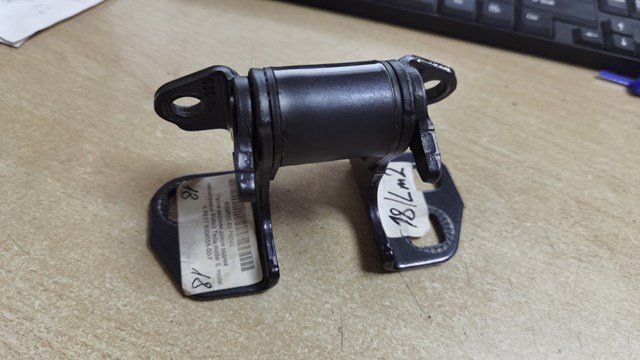 Петля двери задней левой 600955500F Tesla