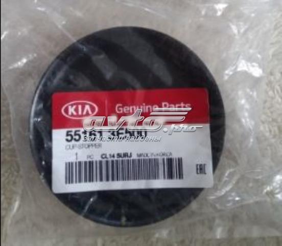 551613E001 Hyundai/Kia disco superior metálico de mola traseira