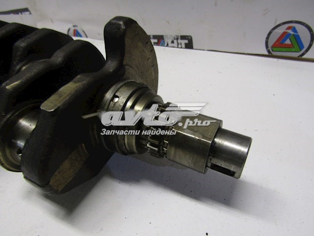 Cambota de motor para Nissan Primera  WP12