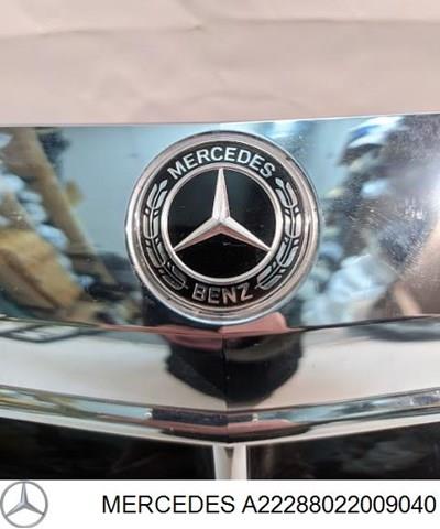  A2228802200 Mercedes