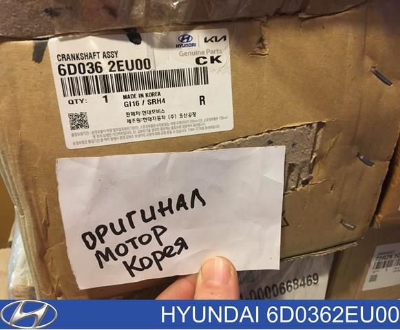 6D0362EU00 Hyundai/Kia 