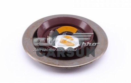 Купить GS6118SKT DP Group Сальник хвостовика
