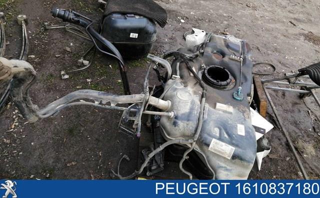 1610837180 Peugeot/Citroen 