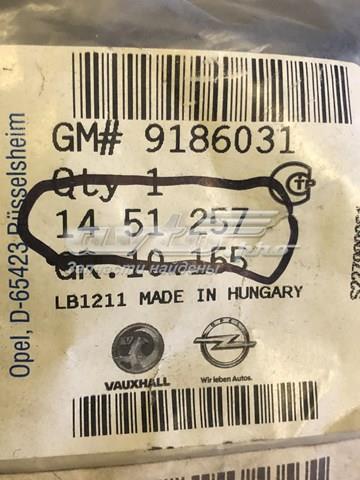 1451257 Opel форсунка омывателя стекла лобового правая