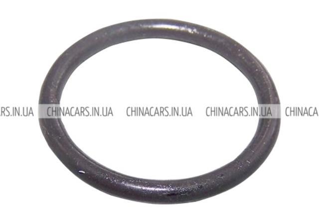  473H1307021 Chery