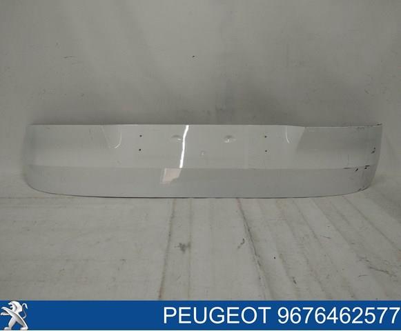 9676462577 Peugeot/Citroen 