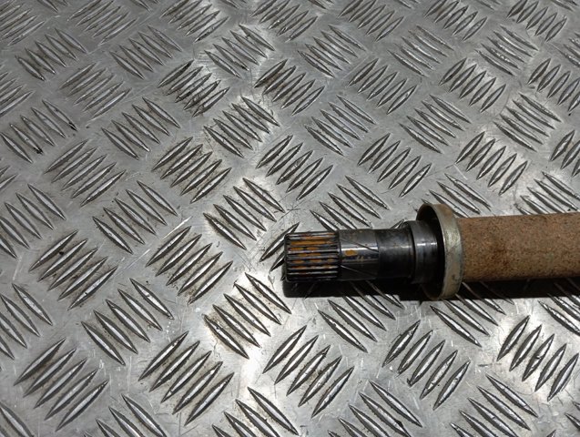  391004534R Renault (RVI)