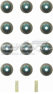  SS72842 Fel-pro
