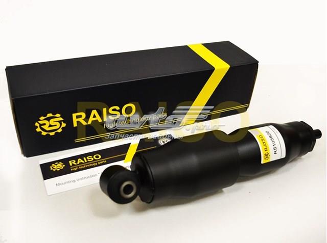 RS105819 Raiso amortecedor dianteiro