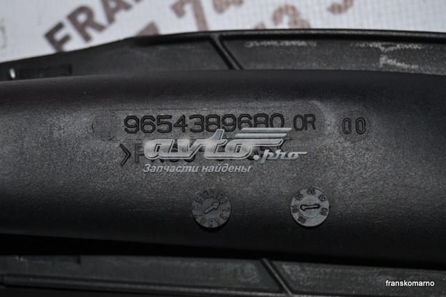 9654389680 Peugeot/Citroen 