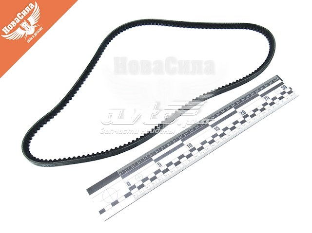 10A1075C Dayco Correia dos conjuntos de transmissão