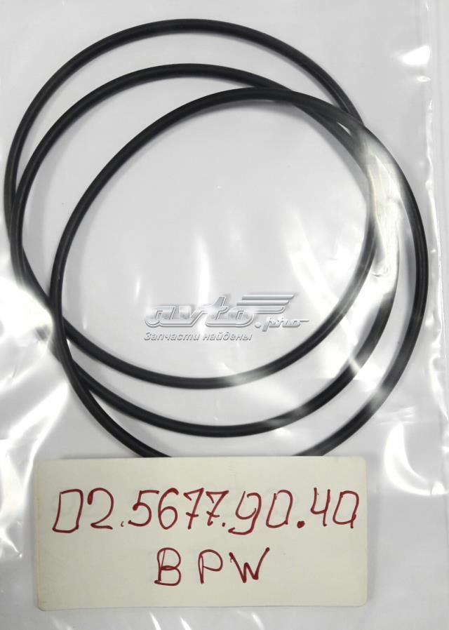  BPW 0256779040