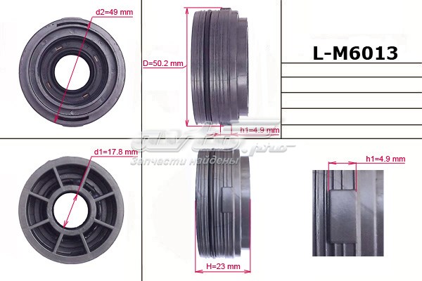  EMMETEC LM6013