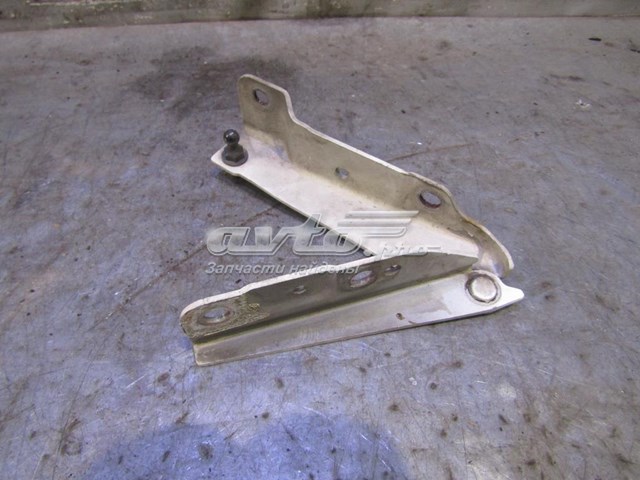 6181008000 Hyundai/Kia gozno da capota esquerdo