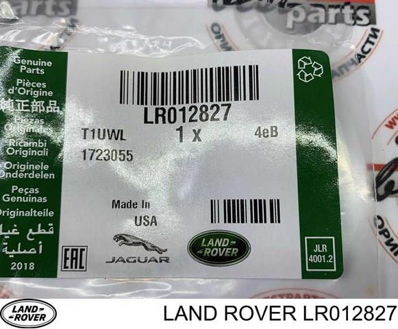 Кольцо форсунки LR012827 Britpart