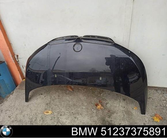 51237375891 BMW 