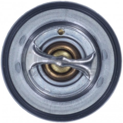 Купить 52028898MR Motorad 