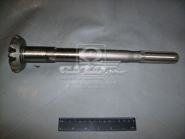 522308063 MTZ 