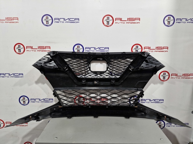623109DJ0A Nissan/Infiniti Решетка радиатора