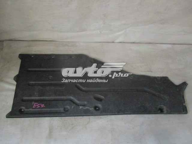 51717020533 BMW proteção de fundo esquerda