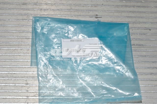 06B103035 VAG Tapa culata original y equivalente