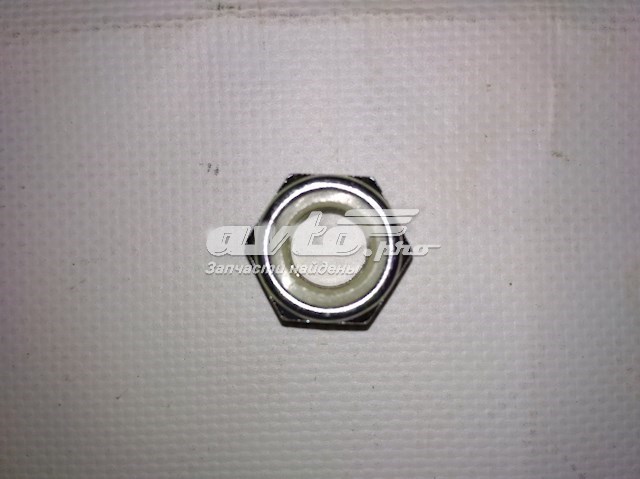 Гайка заднего развального рычага на Chevrolet Evanda V200
