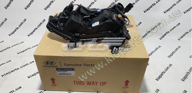 Купить 922022W520 Hyundai/Kia Туманка правая
