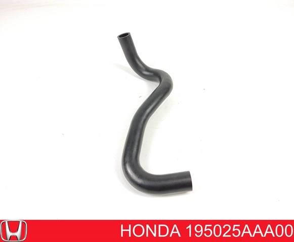 195025AAA00 Honda Патрубок радиатора охлаждения нижний