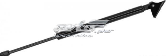 Амортизатор багажника 55075705AB Chrysler