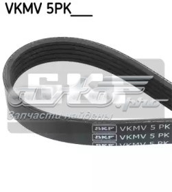 VKMV 5PK960 SKF correia dos conjuntos de transmissão
