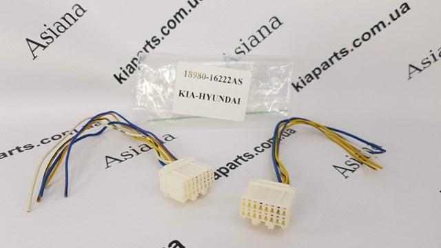 1899904221AS Hyundai/Kia 