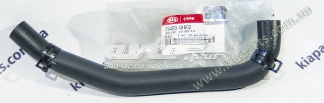  254204X602 Hyundai/Kia