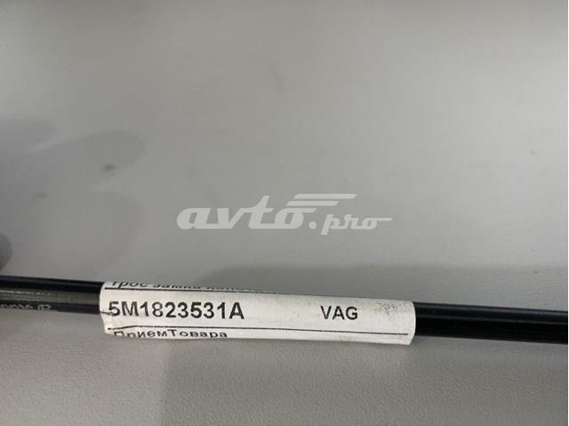 5M1823531A VAG 