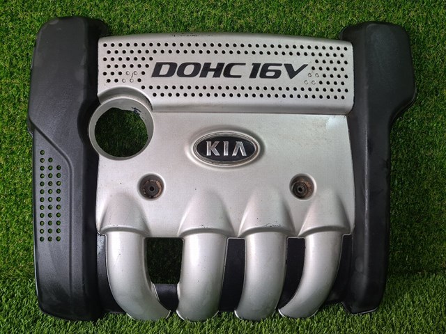 Крышка двигателя 2924025211 Hyundai/Kia