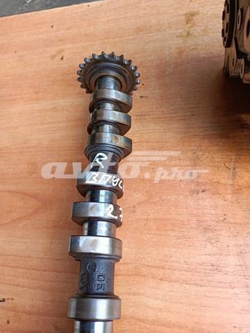 Árvore distribuidora de motor para Audi A6 C6 4F2