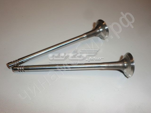 Впускной клапан 473H1007011BA Chery