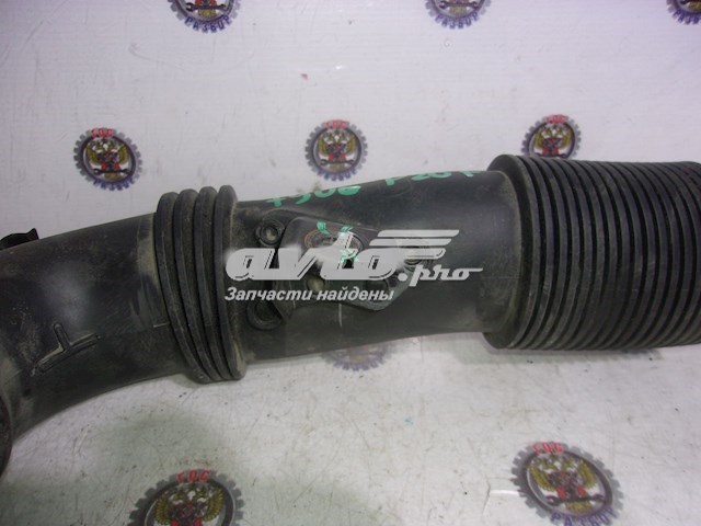 9685569080 Peugeot/Citroen 