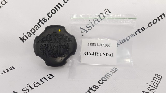  5853207000QQK Hyundai/Kia