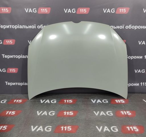 PVW20043A Signeda Капот