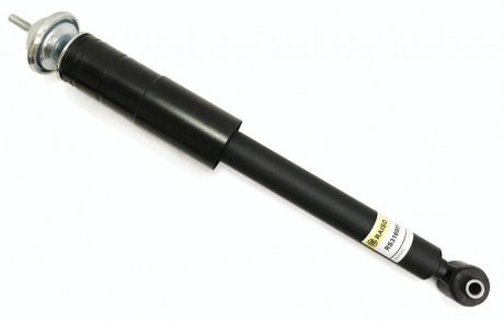 RS316951 Raiso Амортизаторы задние