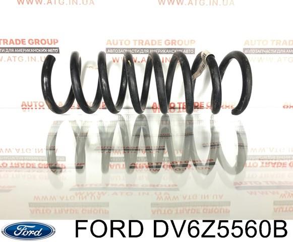  DV6Z5560B Ford