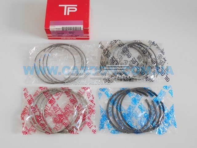  TPR 33789050