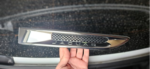  T4N3008 Jaguar