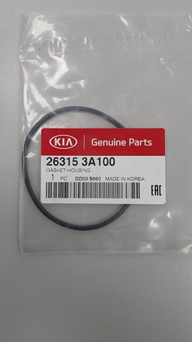  263153A100 Hyundai/Kia